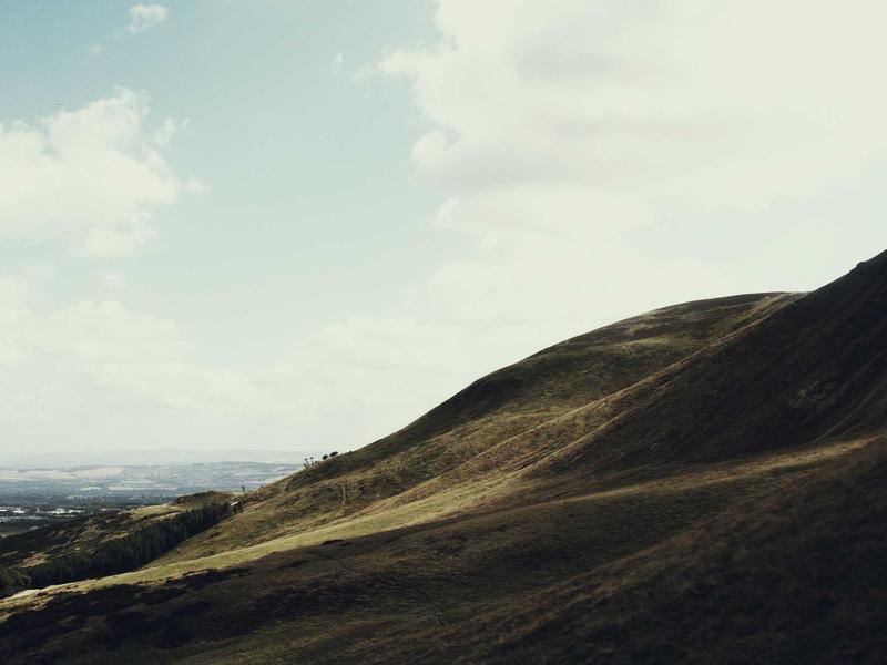 Carepanion Review: Can an AI Chatbot Actually Manage Your Tasks?