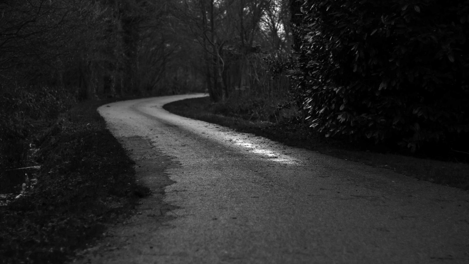 How OpenCLAW Wrappers Are Changing Task Automation