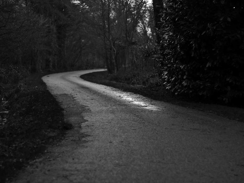 How OpenCLAW Wrappers Are Changing Task Automation